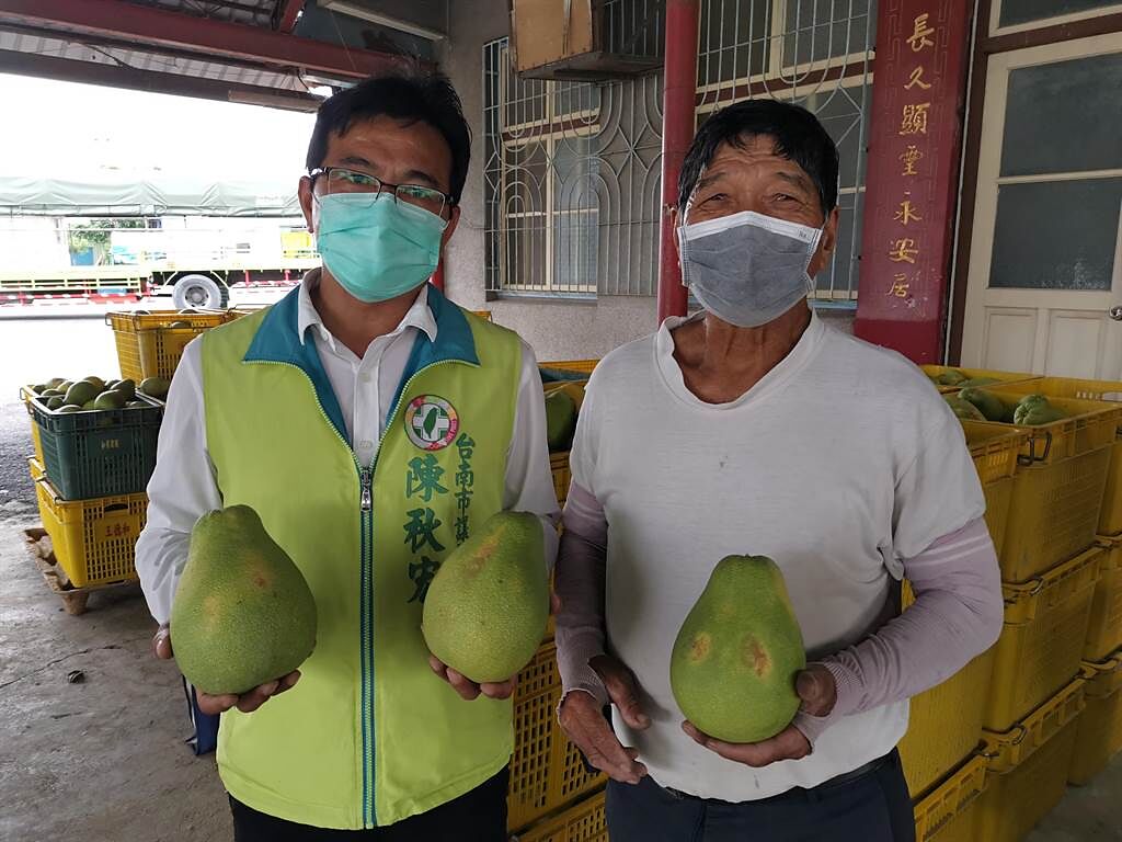 台南市議員陳秋宏（左）日前接到陳情，指私人加工場收購加工果的標準太過於嚴苛，他手中文旦只是表皮有印痕，都被打回票。（劉秀芬攝）