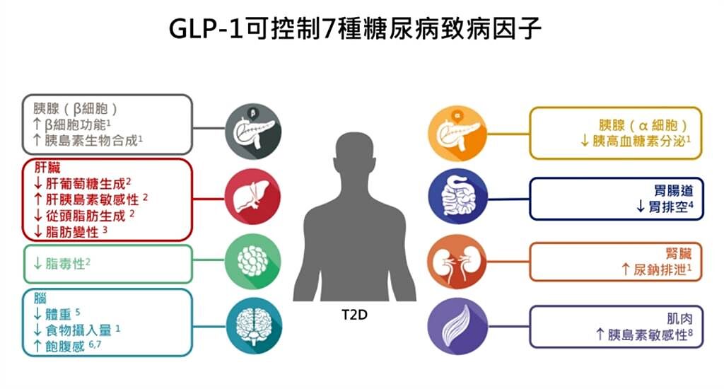 腸泌素(GLP-1)可控制7種糖尿病致病因子。(糖尿病關懷基金會執行長蔡世澤醫師提供)