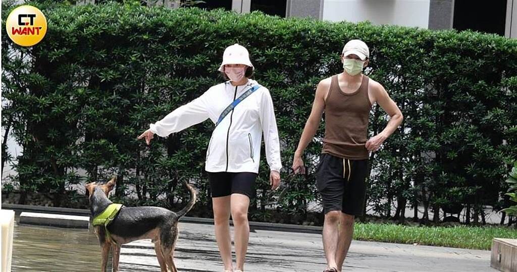 李國毅與老婆橘子帶著愛犬威廉一起散步，橘子的孕肚已經相當大，兩人即將生產升格當爸媽。（圖／攝影組）