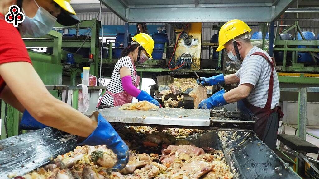 農委會日前宣布9月1日起全面禁止廚餘養豬，導致目前每天約1200公噸的養豬廚餘無處可去，通通都要進了焚化廠及掩埋場。（報系資料照）