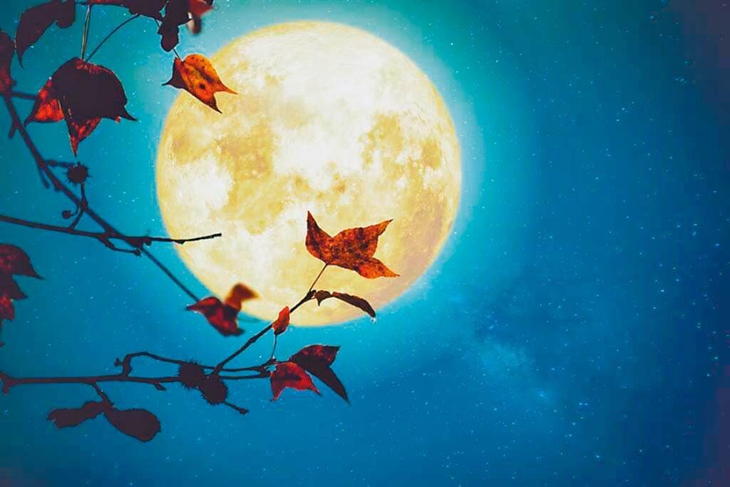 民間相傳月圓為感情順利的象徵，小孟老師公開4大中秋開運法，有機會一次收獲事業與桃花。（圖／Shutterstock）