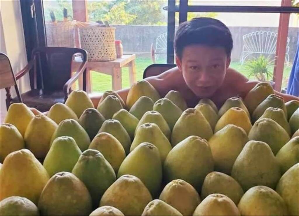 李康生採摘院子裡三棵柚子樹上的柚子分送給親友。（取材臉書）