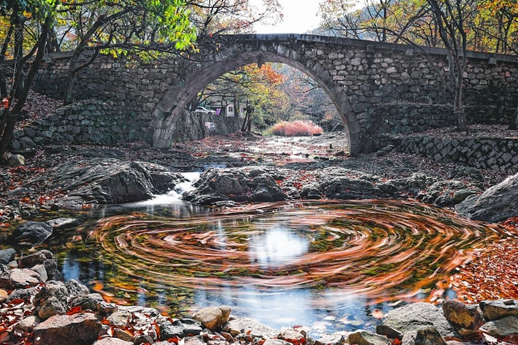 韓國麗水興國寺一年四季皆美。　圖：韓國-麗水市／提供  
