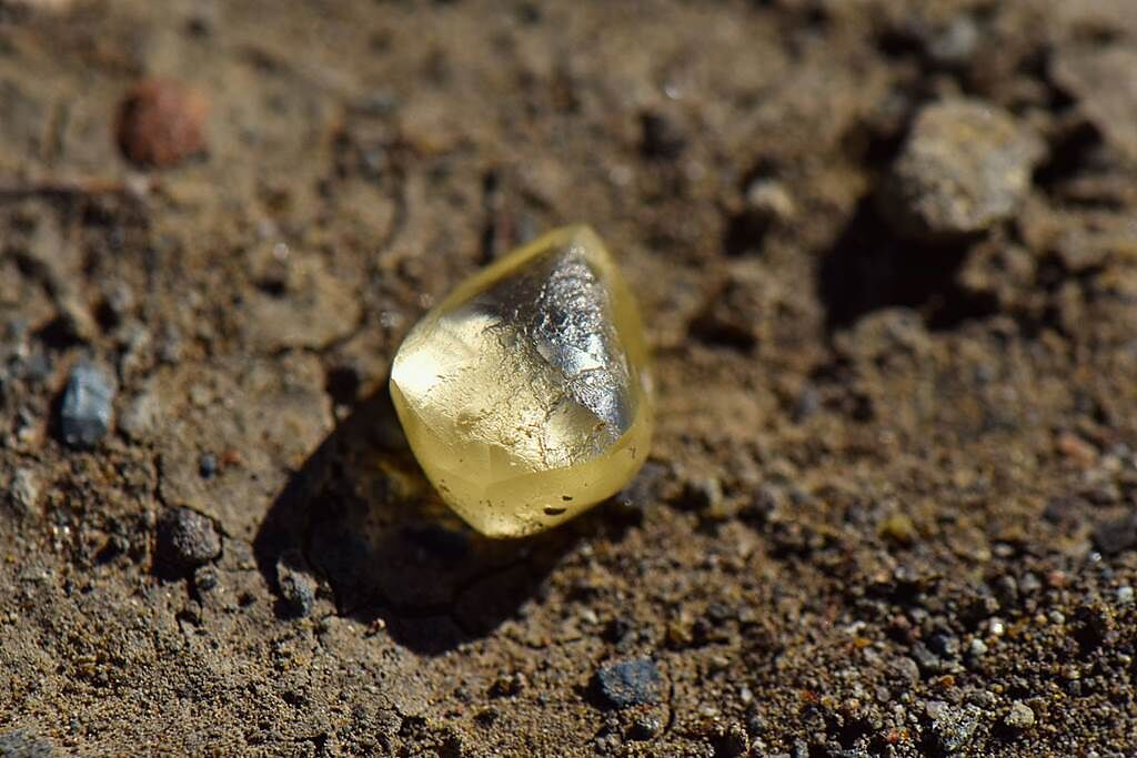 美國一名婦人在鑽石公園隨手撿了一顆亮晶晶的石頭，沒想到一驗竟是4.38克拉的黃鑽石。（圖片翻攝自推特/Arkansas State Parks）