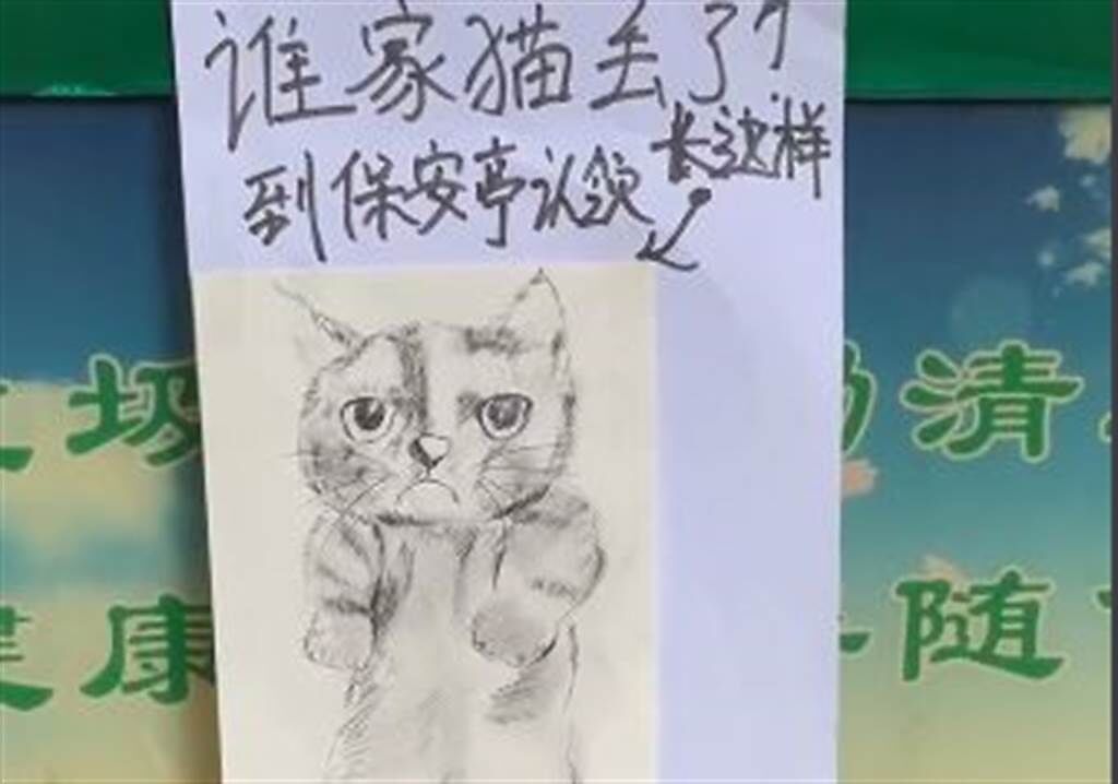 飼主發現社區佈告欄上貼了一張「尋主啟事」，才知道愛貓偷跑出來，雖然啟事裡的貓畫像潦草，但卻把特徵都畫出來了。(圖翻攝自抖音/@xiaowutadie666)