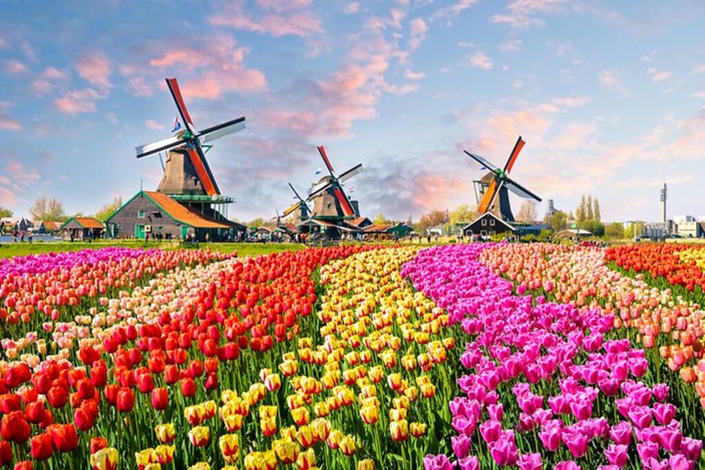 到德元埤荷蘭村風車節，也能體驗荷蘭風情（圖為荷蘭Zaanse Schans風車村）。　圖：shutterstock／來源