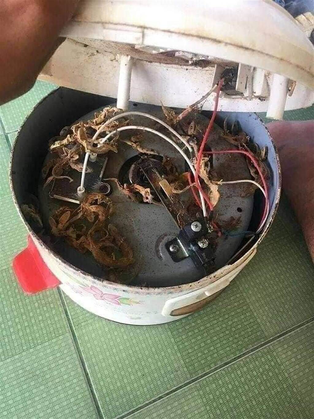 一名網友拆開阿嬤的老舊電子鍋，發現驚人一幕讓網友們都崩潰了。（圖／臉書爆廢公社公開版）