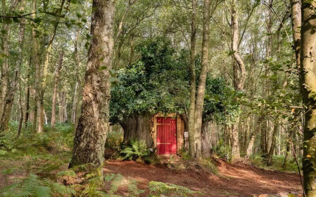 迪士尼與Airbnb合作，還原維尼的樹屋。（圖/取自Airbnb）