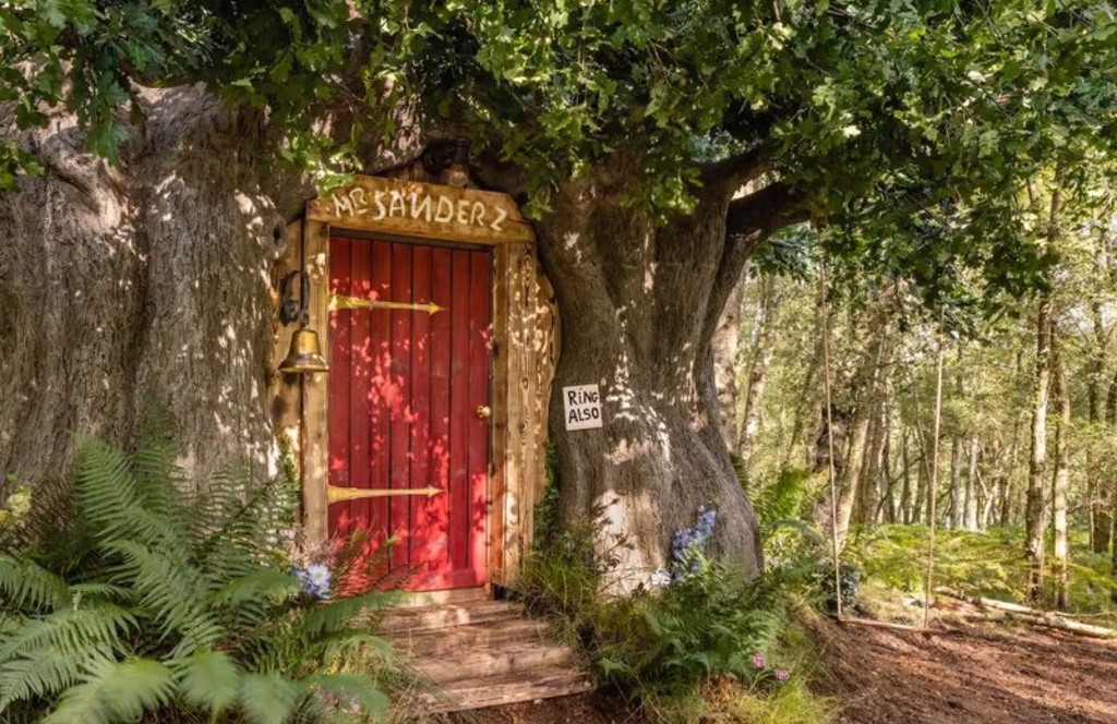 維尼樹屋建在動畫《小熊維尼》的發源地（圖/取自Airbnb）