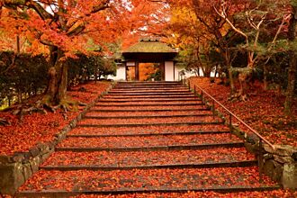 包場紅葉寺院任你遊！京都紅葉季最強住宿方案