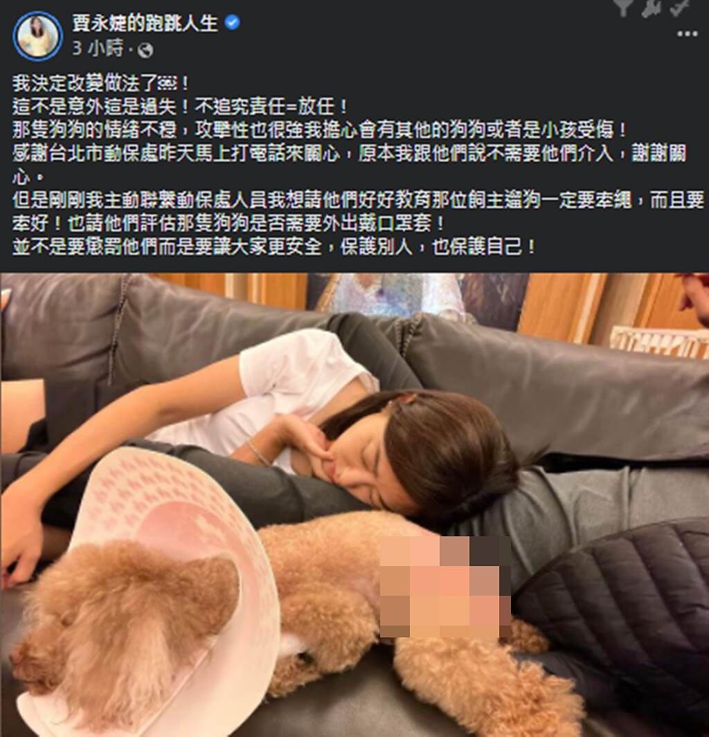 賈永婕愛犬被咬傷，讓她決定主動聯絡動保處究責。（圖／賈永婕的跑跳人生臉書）