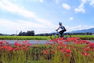 愛知縣新城市好Outdoor！來去豐川上游騎單車、玩立槳和划船