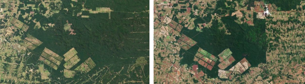 1997年（左）的亞馬遜雨林與同區域在2021年（右）的空拍對比，2021年明顯被開墾了更多區域。（圖／翻攝自USGS）