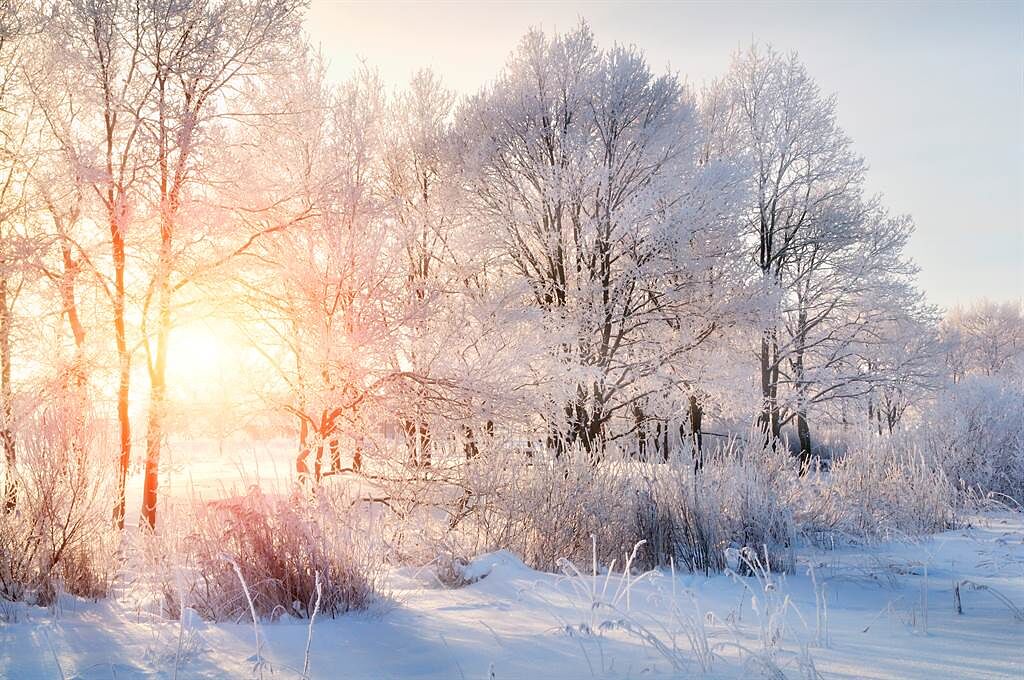 立冬在古代是很重要的節日，而生肖雞、兔的人在這天好運不畏寒，運勢特別旺盛。（示意圖／Shutterstock）
