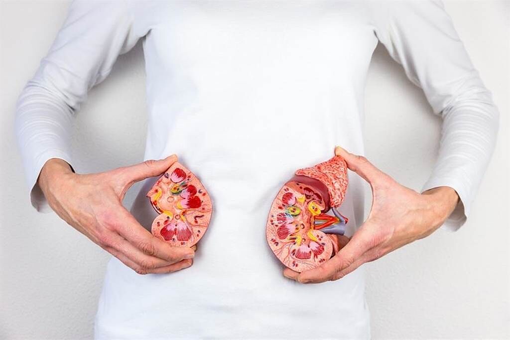 多數人渾然不知 7個已經很危險的腎臟病警訊。(示意圖/Shutterstock)