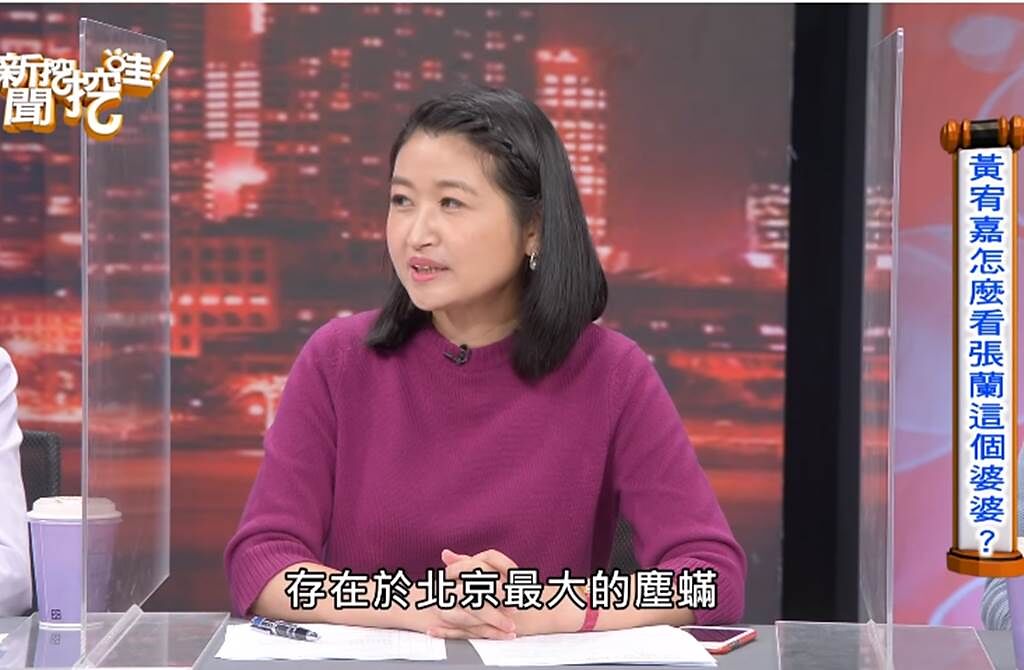 黃宥嘉認為張蘭恐是大汪離婚其中一項因素。（圖／翻攝自新聞挖挖哇！ Youtube）