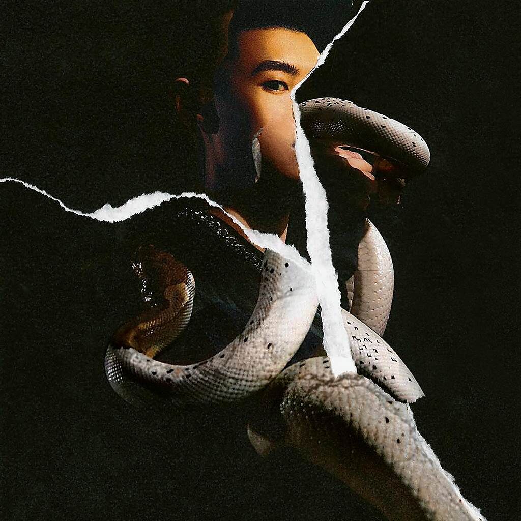 LEE大膽在專輯封面「與蛇共舞」。（環球音樂提供）