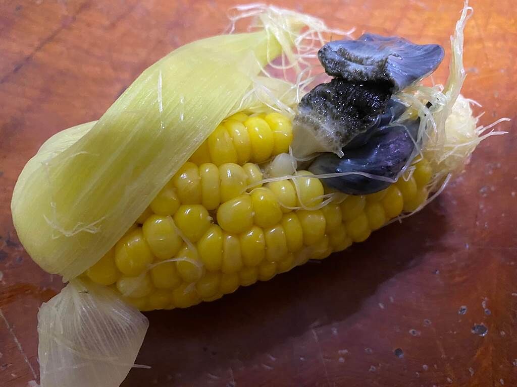 民眾水煮玉米驚見黑色物體，內行網友認證是頂級美食。（圖／翻攝臉書花蓮同鄉會）