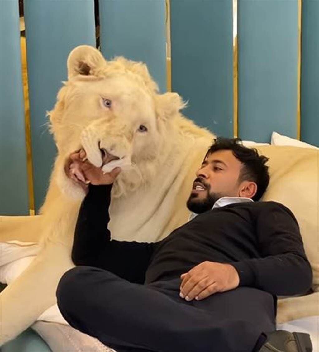 這位阿聯酋長和寵物獅子。(圖/humaidalbuqaish instagram)
