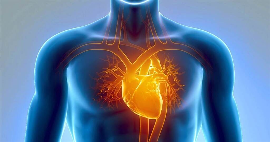 輕忽心律不整恐致心臟衰竭 電燒治療斷除心患。(示意圖/Shutterstock)