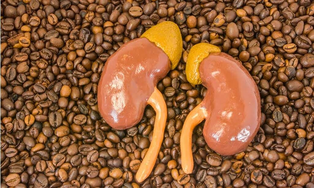 喝咖啡會增加腎臟病風險？有腎功能問題的人可以這樣喝。(示意圖/Shutterstock)