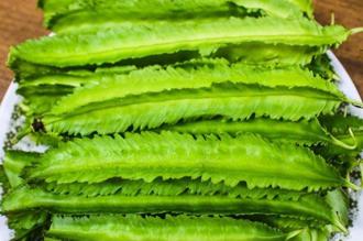 老饕才懂的美味！綠色「鋸齒蔬菜」名稱揭曉 網讚：是念念不忘的好吃！