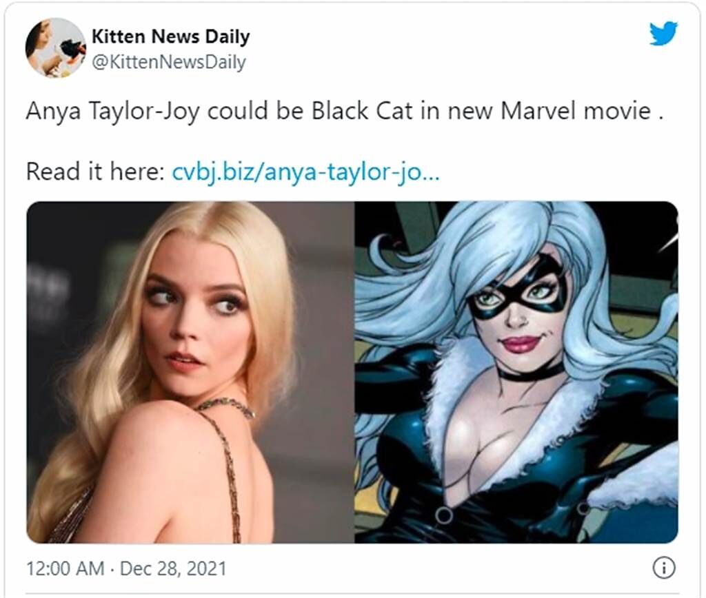 安雅·泰勒-喬伊將演「黑貓」的消息獲得各方證實。（圖／截取自推特）