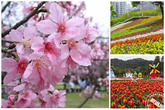 台北的春天，羅列五場不能錯過花季