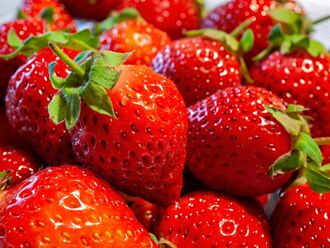 大湖草莓攤被控「買大顆下層藏小顆」業者回應了
