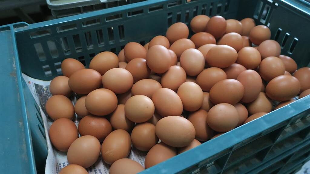 彰化雞蛋產地價格雖仍維持在每台斤34.5元，但因飼料持續飆漲且產蛋量大幅下滑，預期心理下量少價揚，盤商批發價已經飆破44元、漲至2年來新高點。（謝瓊雲攝）
