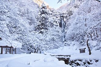 超過36層樓高的西日本名瀑「神庭瀑布」 還有野生獼猴陪你賞雪