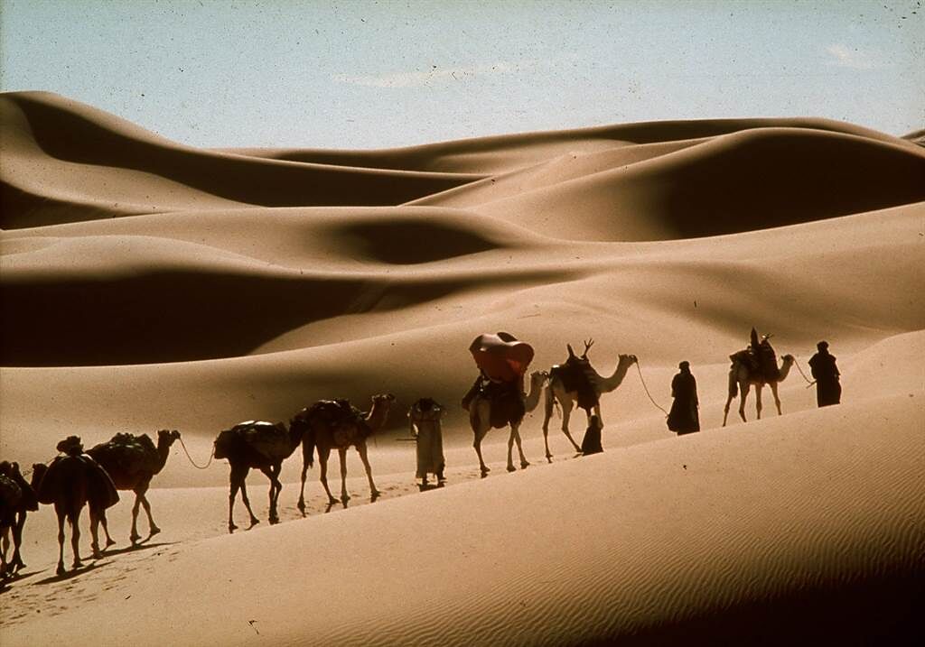 《遮蔽的天空》前進北非撒拉哈沙漠拍攝。（甲上提供）