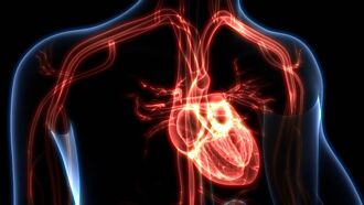 全球首創！基因改造豬心臟移植 獲緊急授權換心成功
