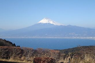 「達磨山」覽富士山美景 「戀人岬」敲愛之鐘