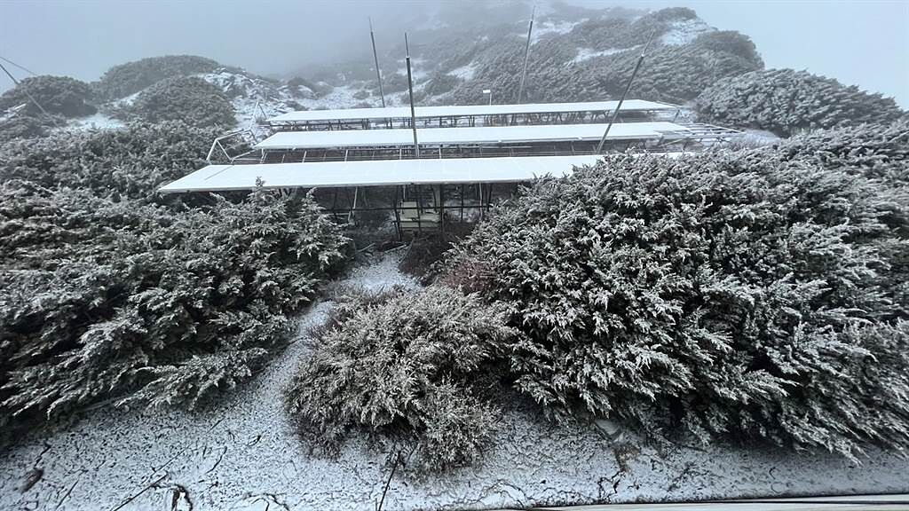玉山今晨下雪，成了銀白世界。(氣象局提供)