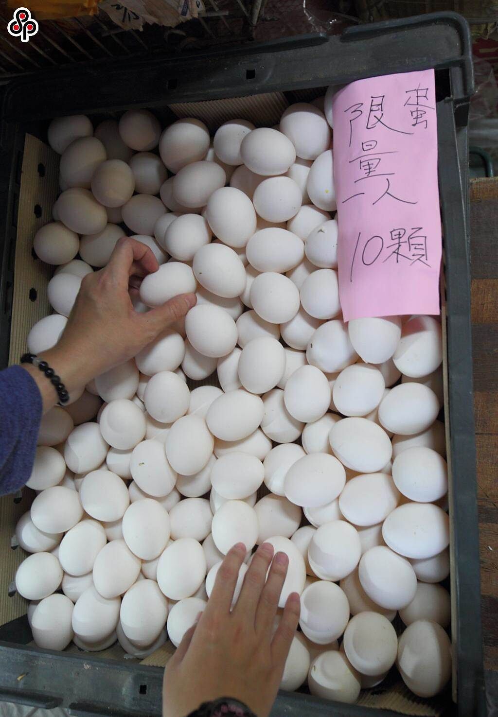 近期各地超市、傳統市場頻傳缺蛋，甚至有雜貨店祭出「限蛋」。（報系資料照）