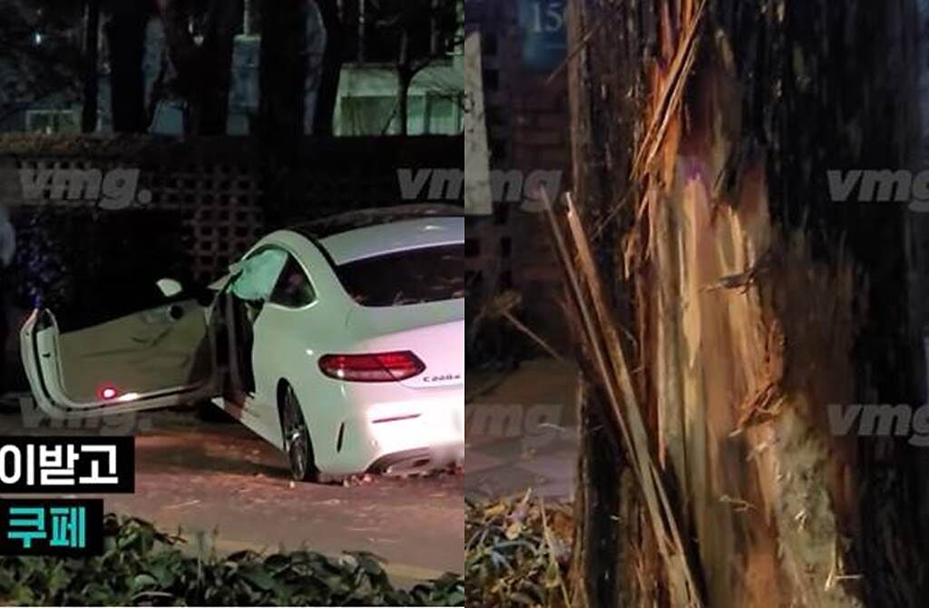 徐藝珍百萬賓士車撞爛，路邊樹木也被撞到剝落。(圖／翻攝自VIDEOMUG YouTube)

