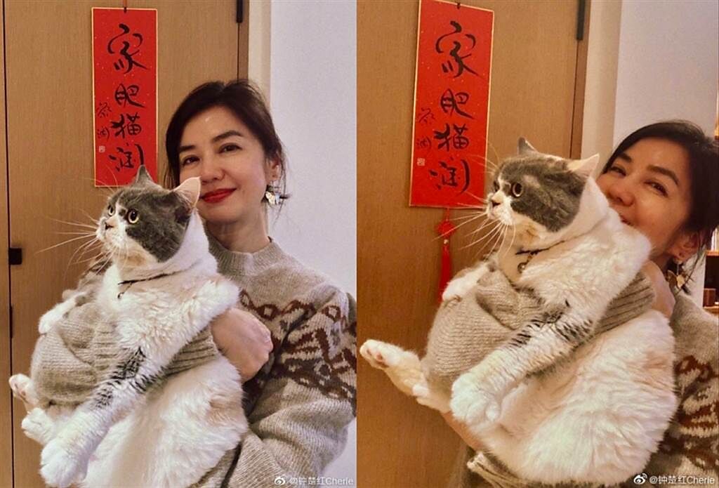 鍾楚紅抱著愛貓跟粉絲拜年，就算臉上有皺紋也看不出是2月中要滿62歲的女人，狀態好到不行。(圖/ 摘自鍾楚紅微博)