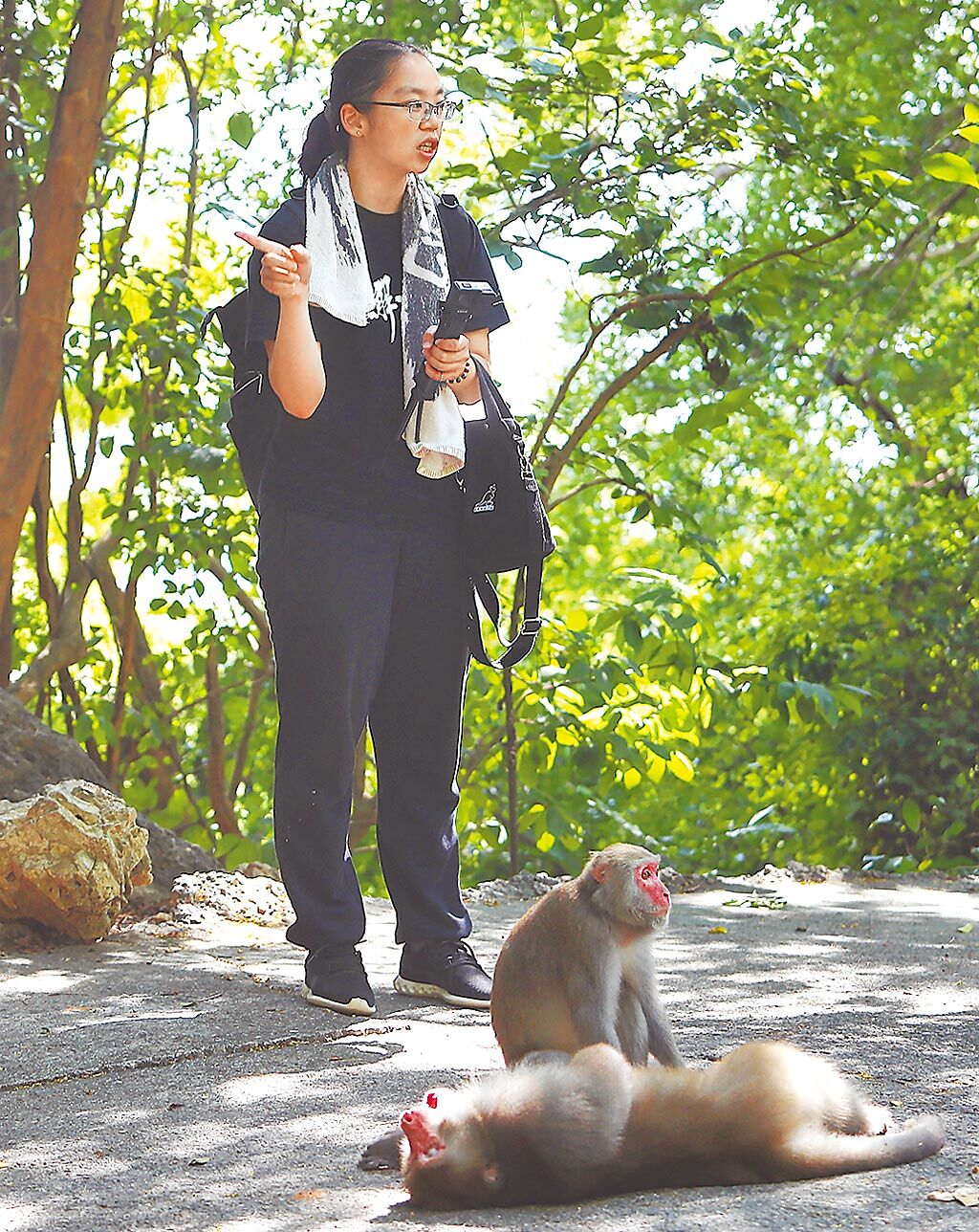 2010年開始，林美吟發起壽山的獼猴導覽團，帶領民眾上山親眼所見台灣獼猴的真正的模樣，並且透過獼猴之間的社交習性觀察，真實地走進猴群中去理解牠們。（季志翔攝）