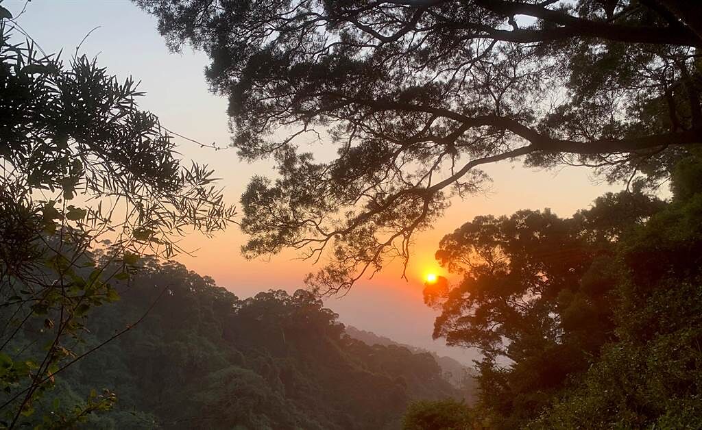 彰化田中森林步道，觀賞到的夕陽美景。（參山國家風景區管理處提供／黃國峰台中傳真）