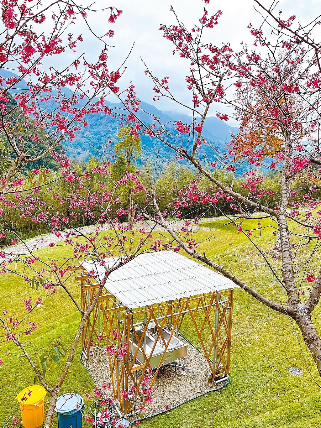 森露台野營場內有日式設計洗手台，搭配櫻花相得益彰。（吳娮翎攝）