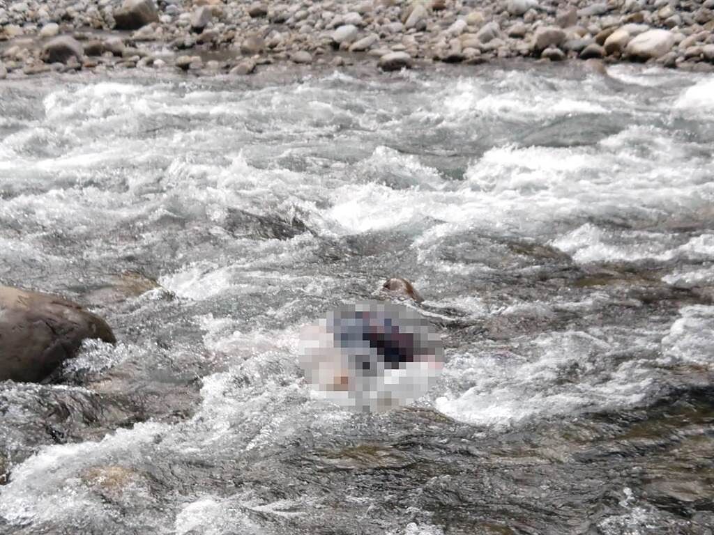 苗栗泰安泡野溪溫泉落水，女子遺體下游800公尺尋獲。（讀者提供／謝明俊苗栗傳真）