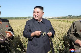 醉翁之意不在屎 不只堆肥 北韓下令上繳大便300公斤的原因曝光