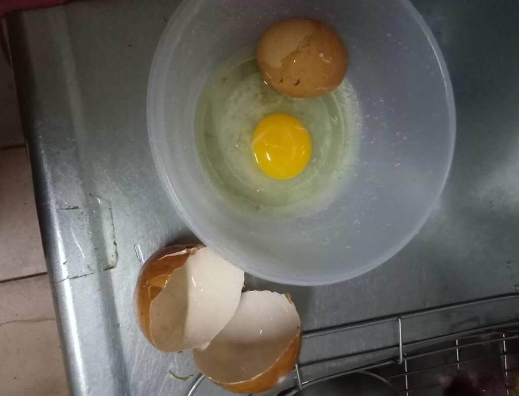 「齒仔伯」飼養的母雞產下一顆巨蛋，敲破後驚見是罕見的蛋中蛋。（陳淑娥攝）