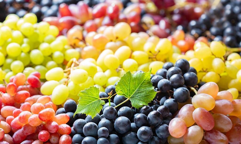 吃葡萄也能助降膽固醇，4種顏色葡萄功效一次看。(示意圖/Shutterstock)