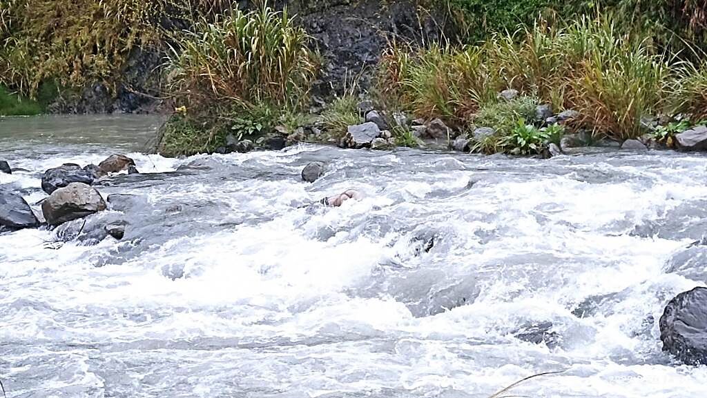 失聯一夜的泰籍移工遺體卡在合歡溪中大石上。（台中市消防局提供／王文吉台中傳真）
