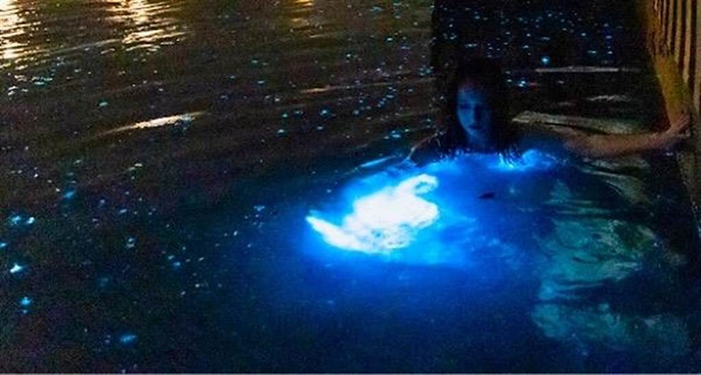 金門藍眼淚大爆發，1名比基尼女子在新湖漁港岸邊，以美人魚般的婀娜身影從冰冷大海出水，抖落一身藍點星光，搖曳出讓人屏息的空靈美照。（簡小姐提供）