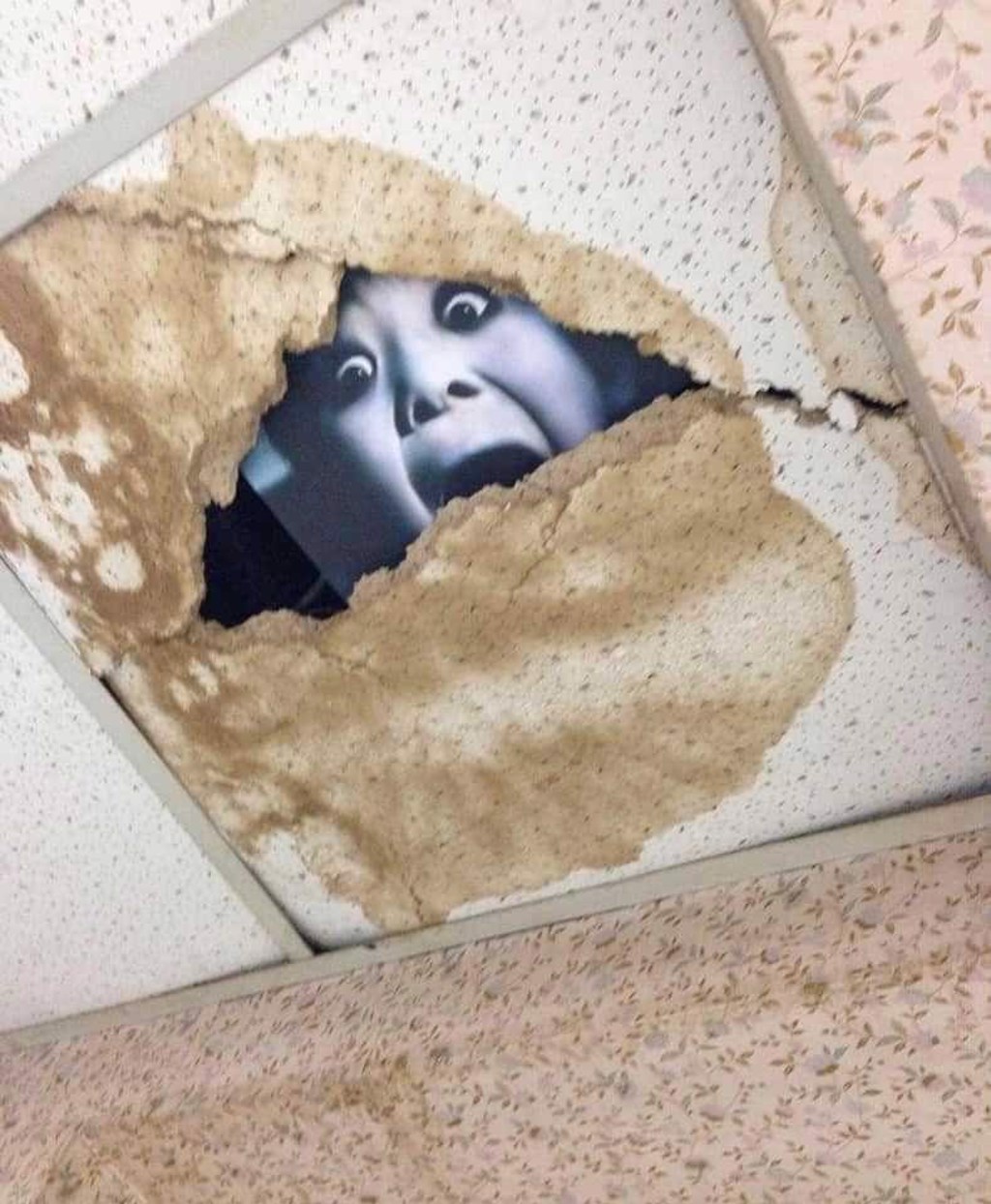 公廁天花板的大洞，有日本恐怖片《咒怨》的海報。(圖/取自臉書爆廢公社)