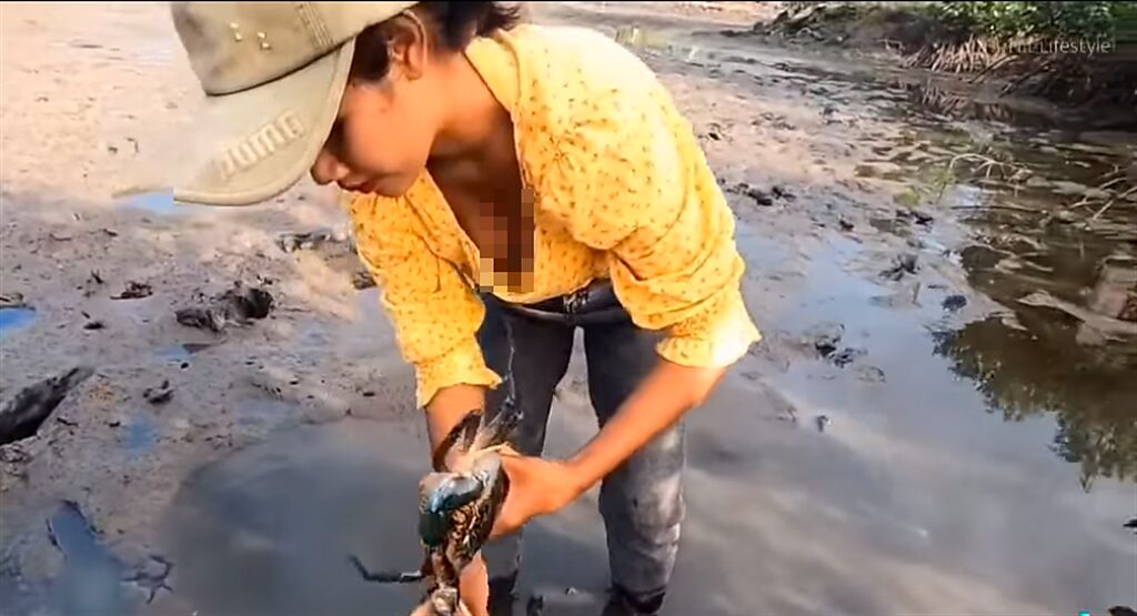 網路上流傳一段抖音影片，1名女子在河邊徒手抓螃蟹，展現俐落技術捕蟹、綁蟹，但胸前碎花洋裝的領口卻不斷打開，露出衣內豐滿傲人上圍。（翻攝自臉書「爆廢公社公開版」）