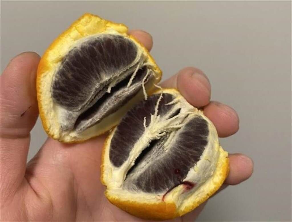 一名網友在食物銀行拿橘子，打開卻發現果肉是暗紫色的。（圖／翻攝自Dcard）